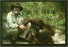 Terry Pratchetts Jungle Quest now available on DVD